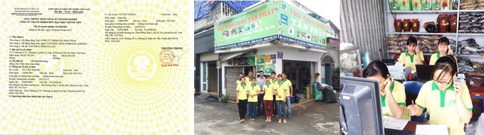 Công Ty Bồ Công Anh Tấn Phát